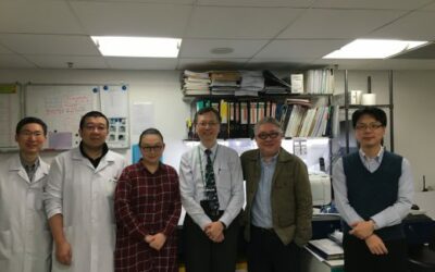 The Hong Kong Baptist Hospital has recently open a new histopathology lab. We have helped them to establish a large scale dictation and transcription system.